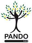 Pando S.A.S.